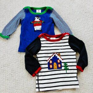 Hanna Andersson winter appliqué tee shirt bundle